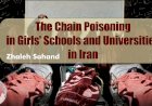 The Chain Poisoning in Girls' Schools and Universities in Iran