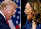 A Review Of The U.S. Presidential Election in 2024