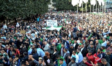 Mass Movement in Algeria, the Question of Program – V.U. Arslan