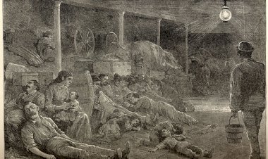 How did the Epidemics Decline in 1800's?