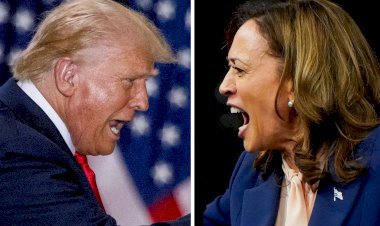 A Review Of The U.S. Presidential Election in 2024