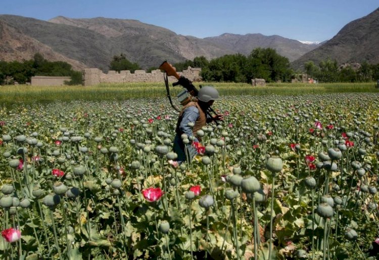Who Leads the Drugs Trade in Afghanistan?-Omid Jurrat Rastakhiz