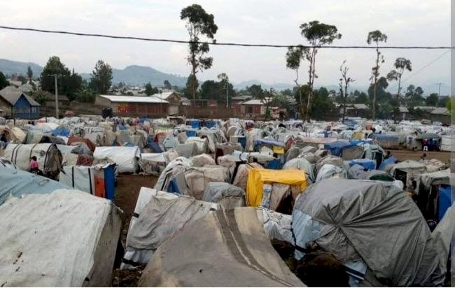 Pain in the Midst of Wealth: Protests Erupt in Democratic Republic of Congo as Conflict Escalates and Millions Displaced